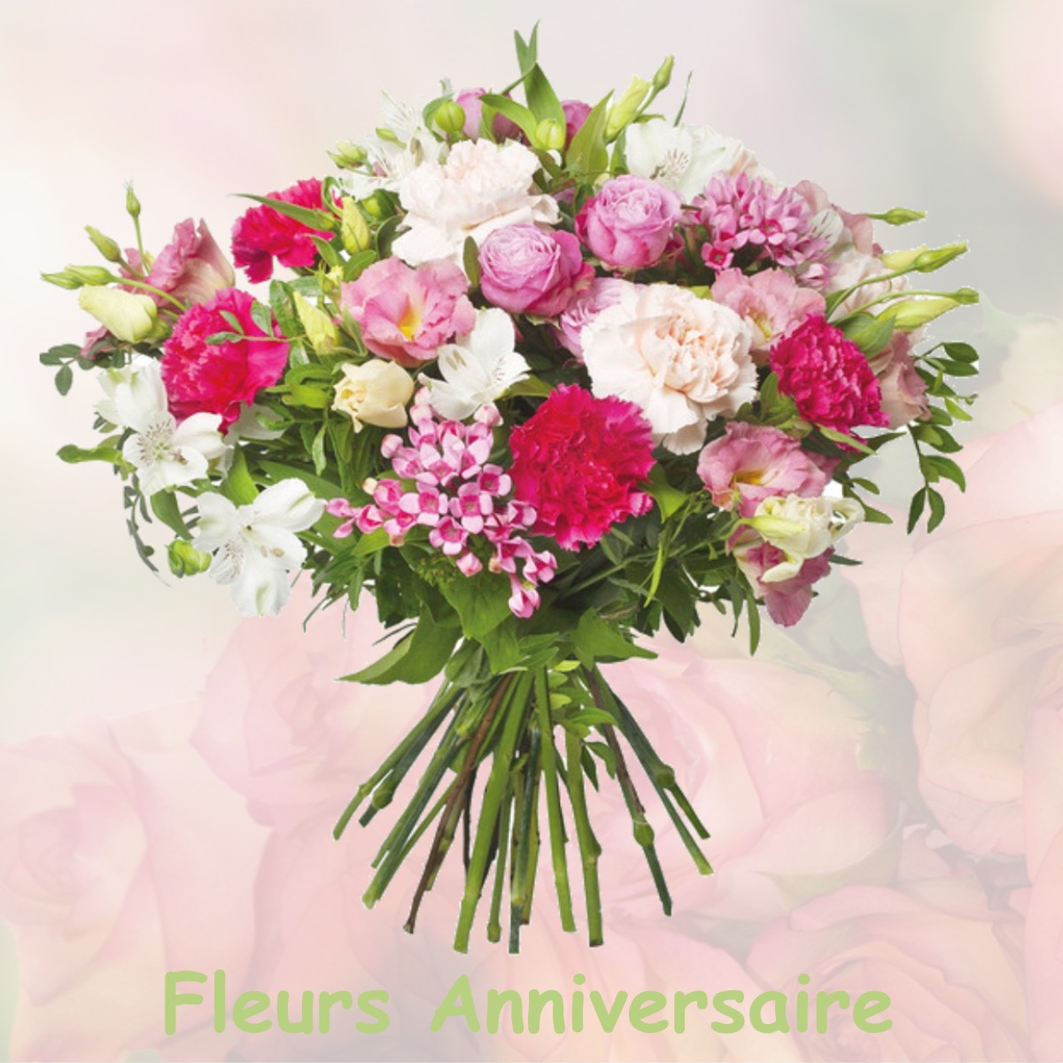 fleurs anniversaire BUSSEAUT